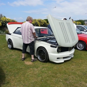 BM's on the Lawn  June 2014